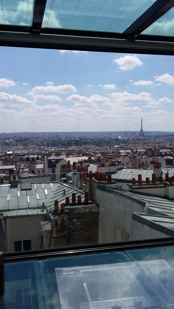 Vue sur la Tour Eiffel depuis le salon 