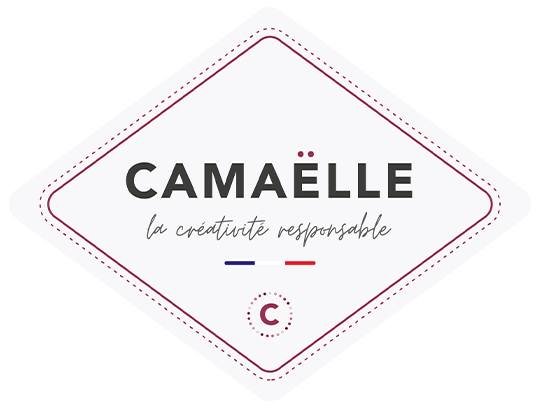 logo camelle peinture